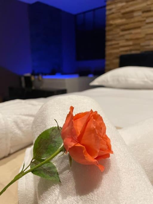 Le Cocon Des Granges - Suite Sauna Jaccuzi Spa Bonnieres-sur-Seine Buitenkant foto